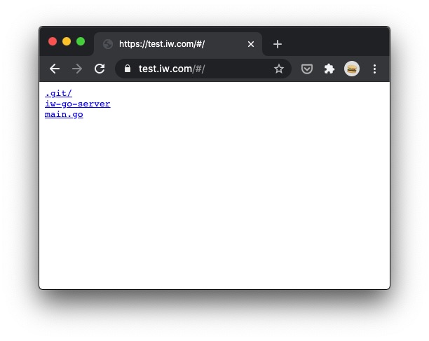 Golang HTTPS Server 