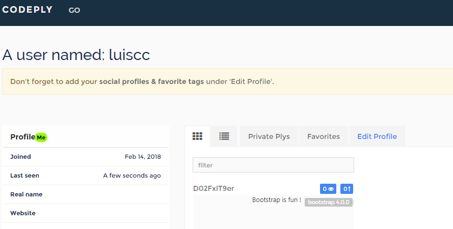 Codeply profile